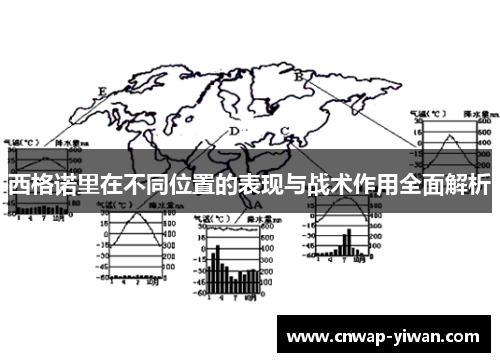 西格诺里在不同位置的表现与战术作用全面解析 西格诺里在不同位置的表现与战术作用全面解析