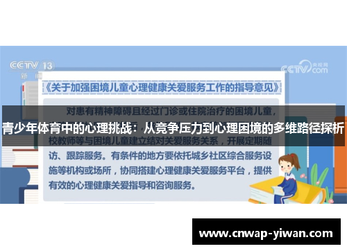 青少年体育中的心理挑战：从竞争压力到心理困境的多维路径探析