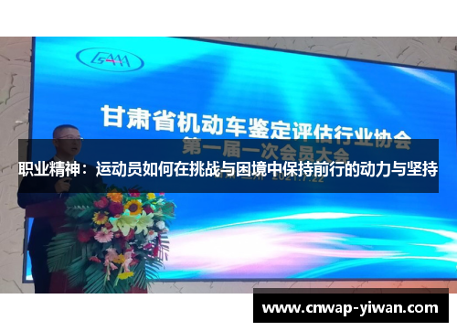 职业精神：运动员如何在挑战与困境中保持前行的动力与坚持