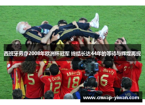 西班牙勇夺2008年欧洲杯冠军 终结长达44年的等待与辉煌再现