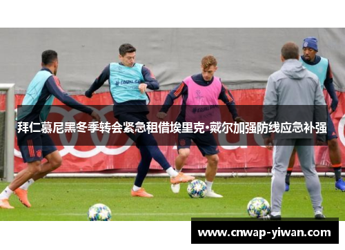 拜仁慕尼黑冬季转会紧急租借埃里克·戴尔加强防线应急补强