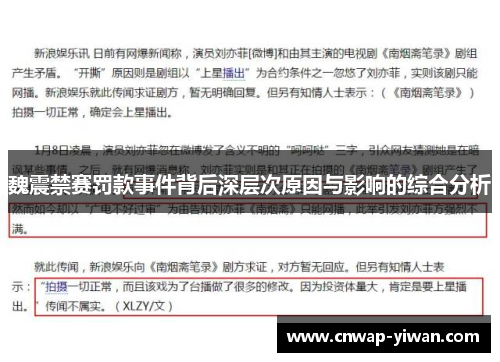 魏震禁赛罚款事件背后深层次原因与影响的综合分析